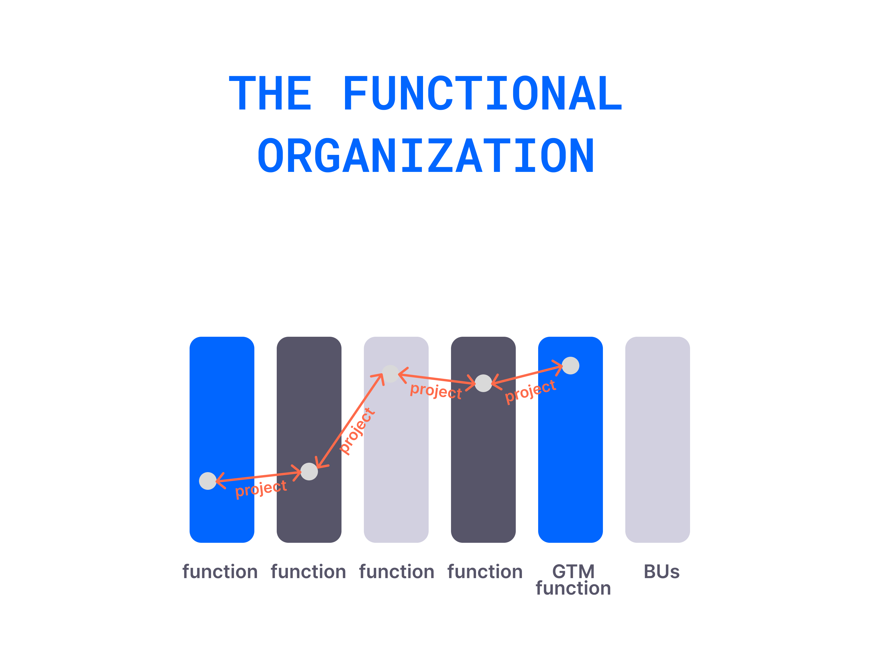 The functional organization illustration